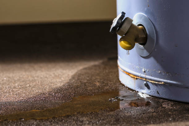 Best Water damage contractors near me  in Coker, AL