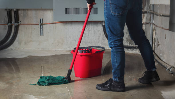 Best Water damage mitigation services  in Coker, AL