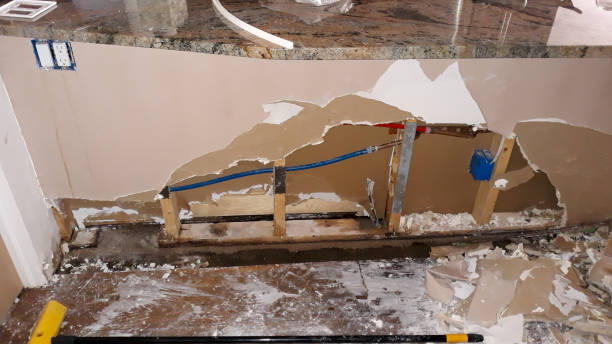 Best Flood damage cleanup  in Coker, AL