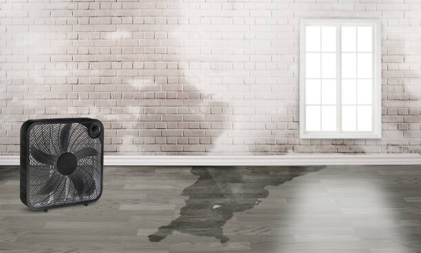 Best 24-hour water damage restoration  in Coker, AL