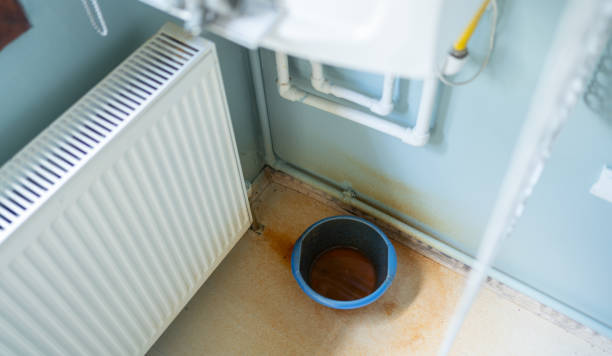 Best Water damage cleanup near me  in Coker, AL