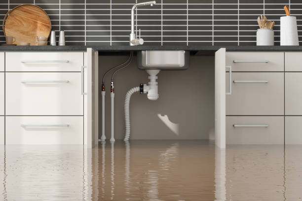 Best Emergency water damage restoration  in Coker, AL