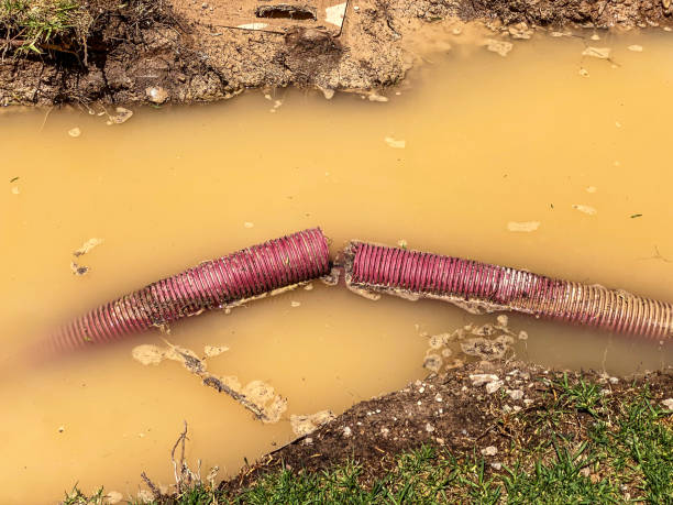 Best Water damage restoration near me  in Coker, AL