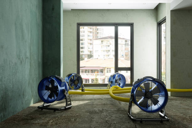 Best Mold removal after water damage  in Coker, AL