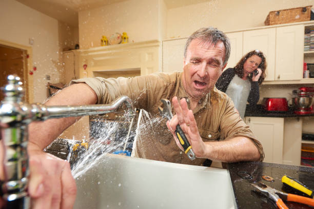 Best Ceiling water damage repair  in Coker, AL